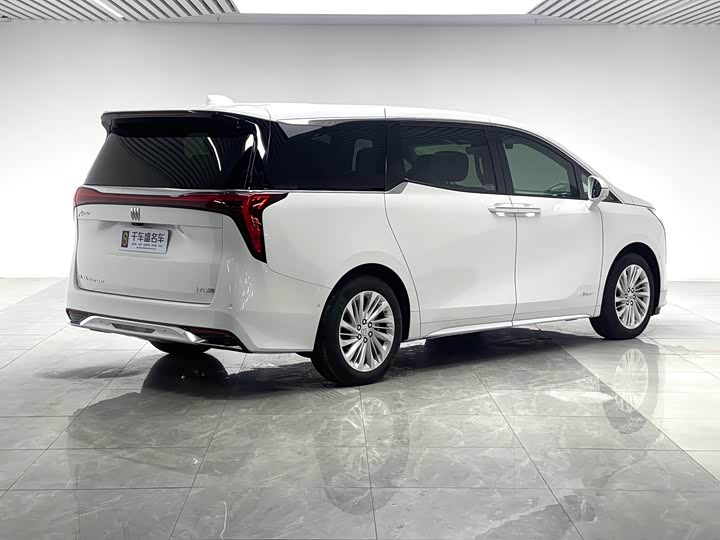 Фото 6 - Buick GL8 Century