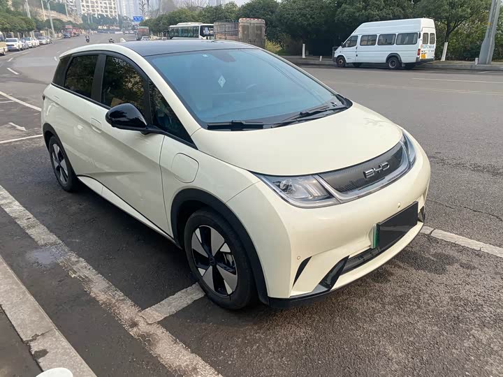 Фото 3 - BYD Dolphin