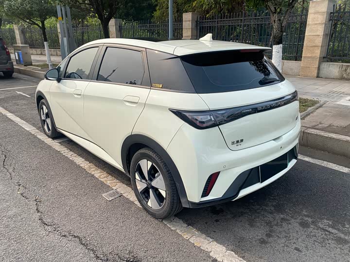 Фото 7 - BYD Dolphin