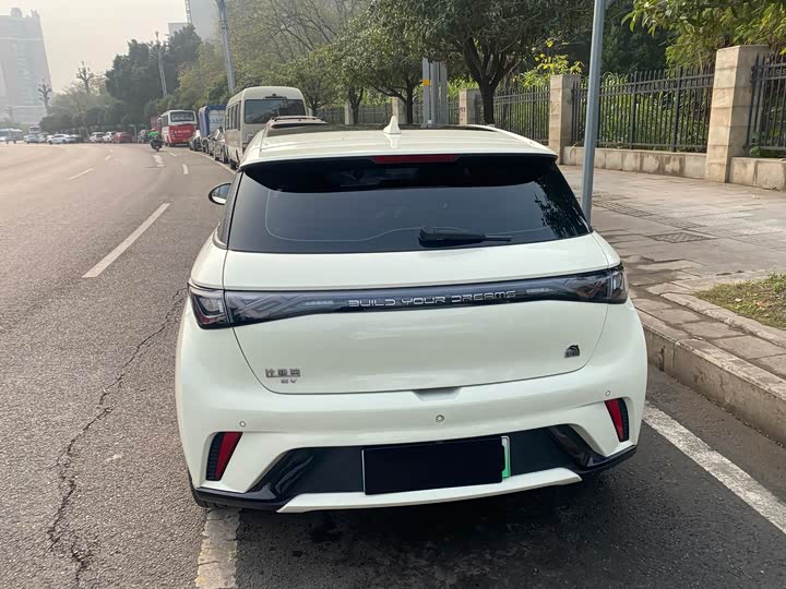 Фото 8 - BYD Dolphin