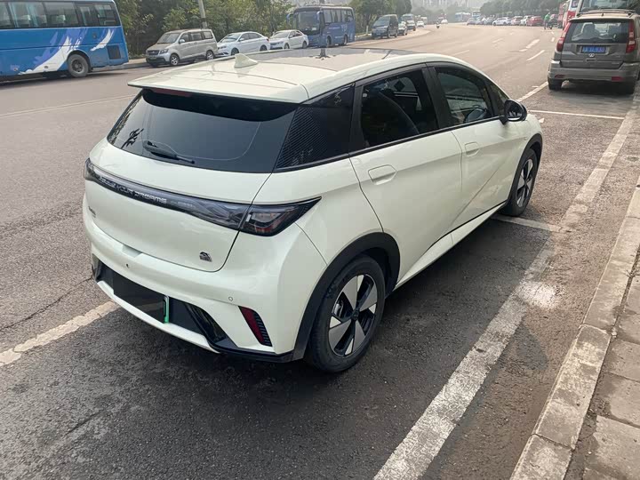 Фото 9 - BYD Dolphin