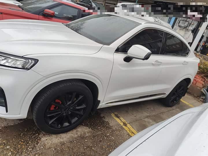 Фото 5 - Geely Tugella