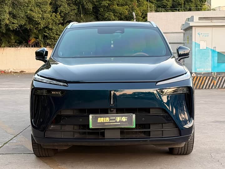 Фото 2 - Wey Lanshan