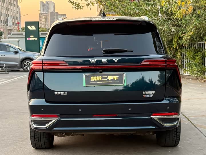 Фото 8 - Wey Lanshan