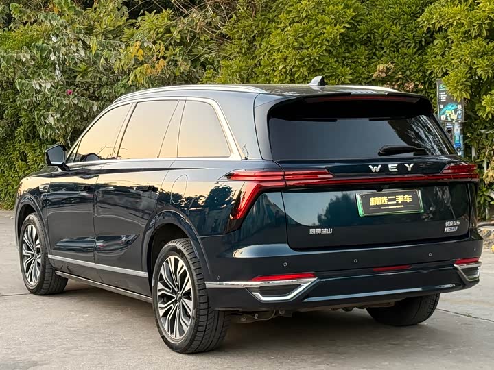 Фото 9 - Wey Lanshan