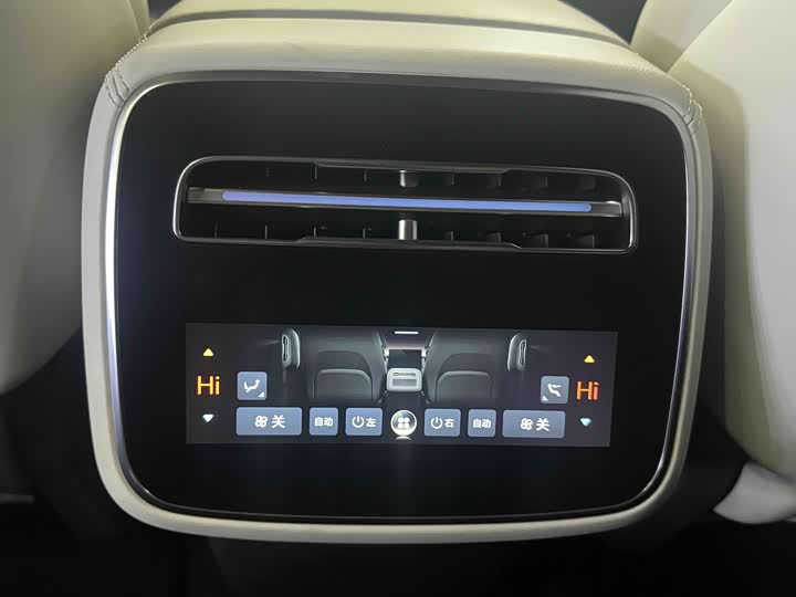 Фото 6 - Denza Z9GT