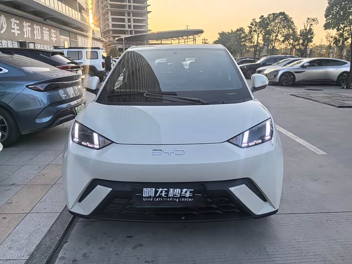 Фото 2 - BYD Seagull