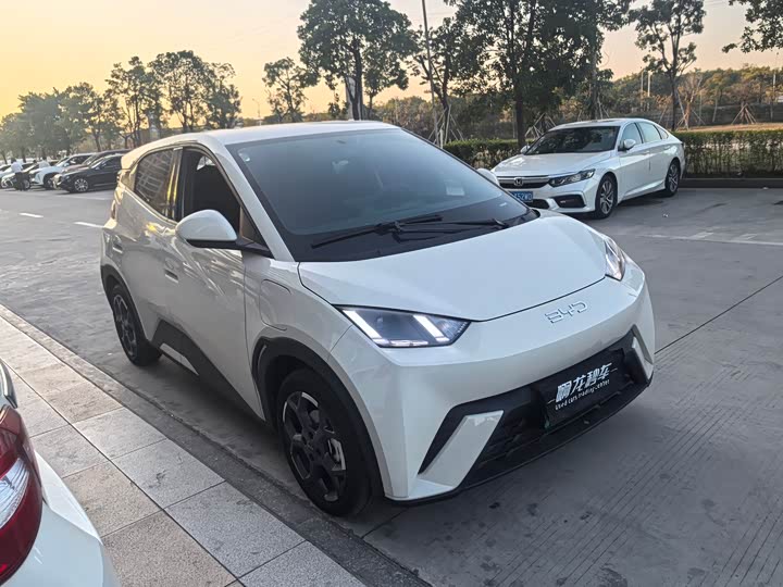 Фото 3 - BYD Seagull