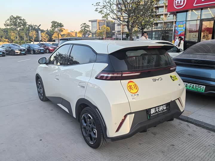 Фото 7 - BYD Seagull