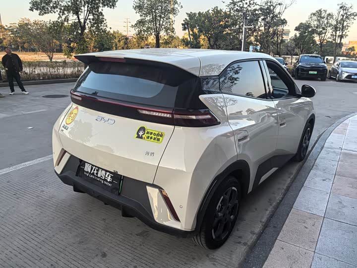 Фото 8 - BYD Seagull