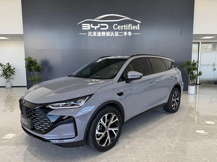 Фото 1 - BYD Tang Hybrid/EV