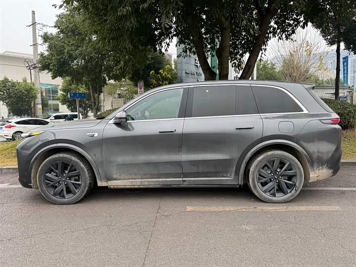 Фото 3 - LiXiang L8