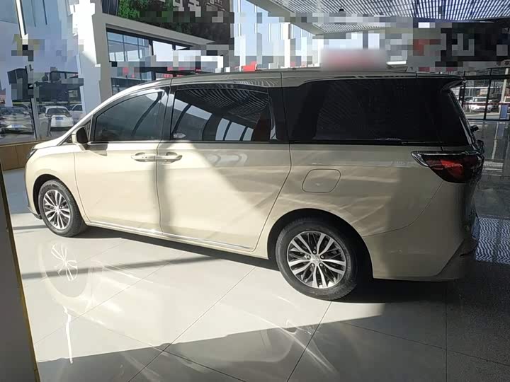 Фото 5 - Buick GL8 ES