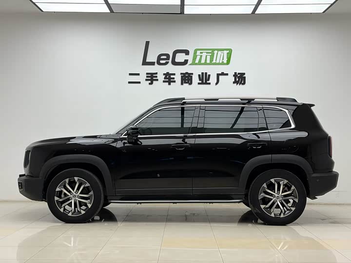 Фото 3 - Haval Dargo