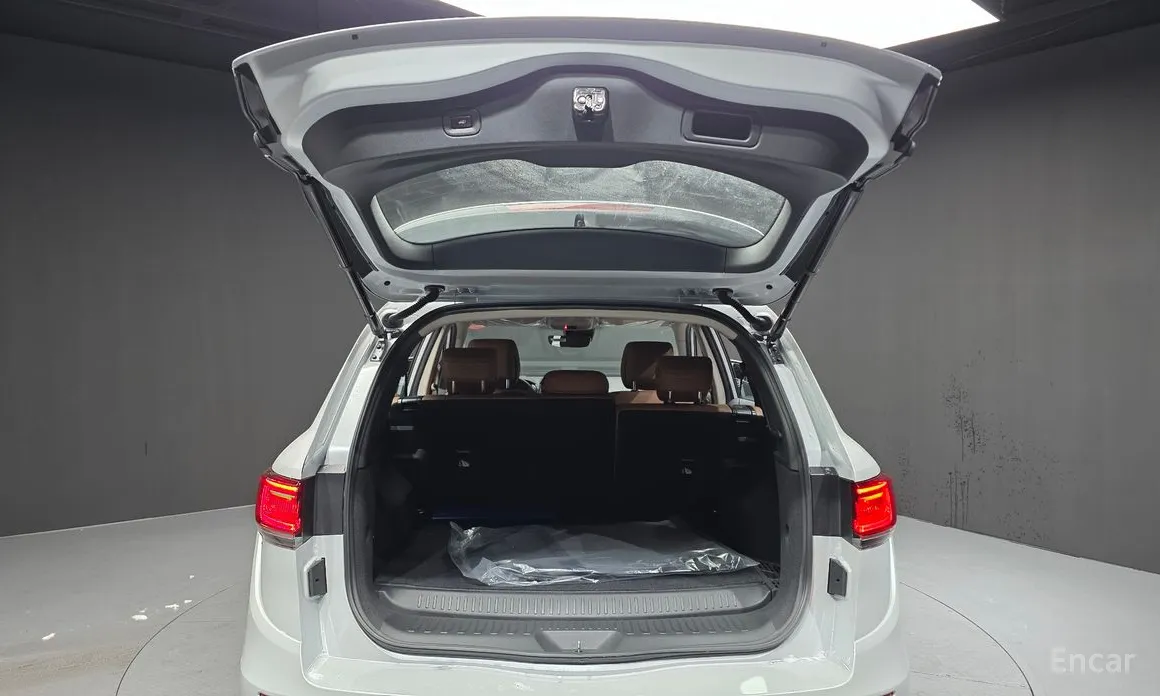 Фото 20 - Renault QM6