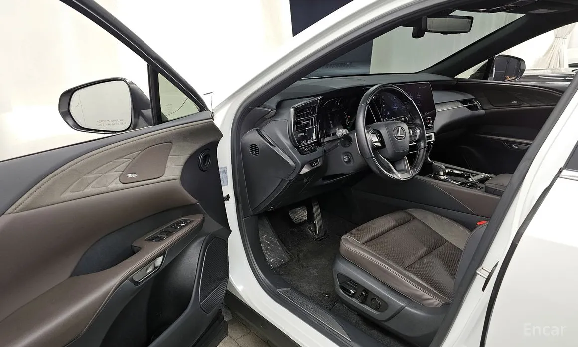 Фото 10 - Lexus RX