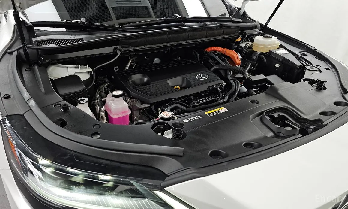 Фото 6 - Lexus RX