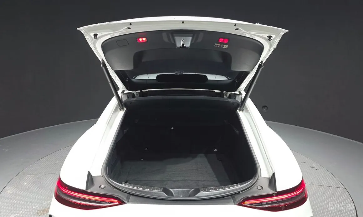 Фото 20 - Mercedes-Benz AMG GT