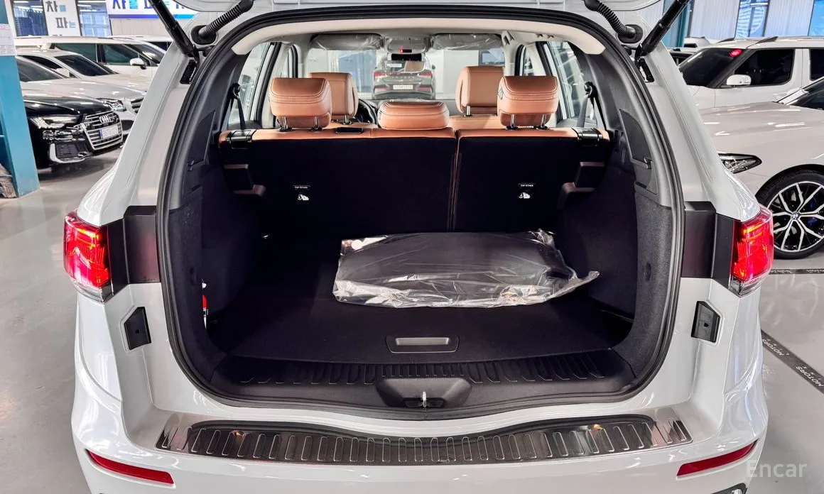 Фото 10 - Renault QM6