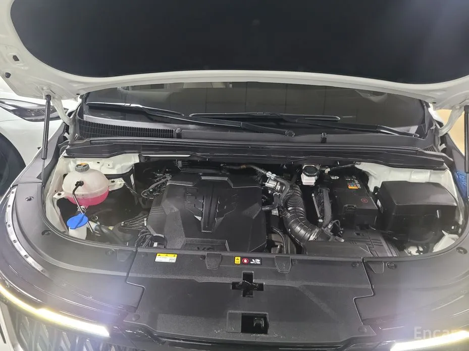 Фото 19 - Kia Carnival