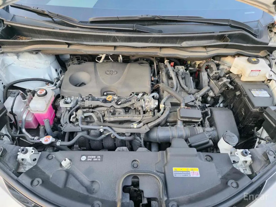 Фото 6 - Toyota Sienna