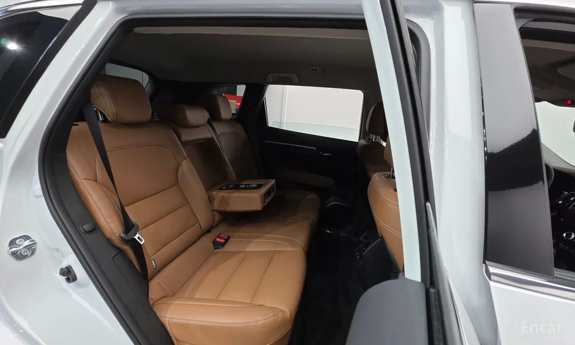 Фото 19 - Renault QM6