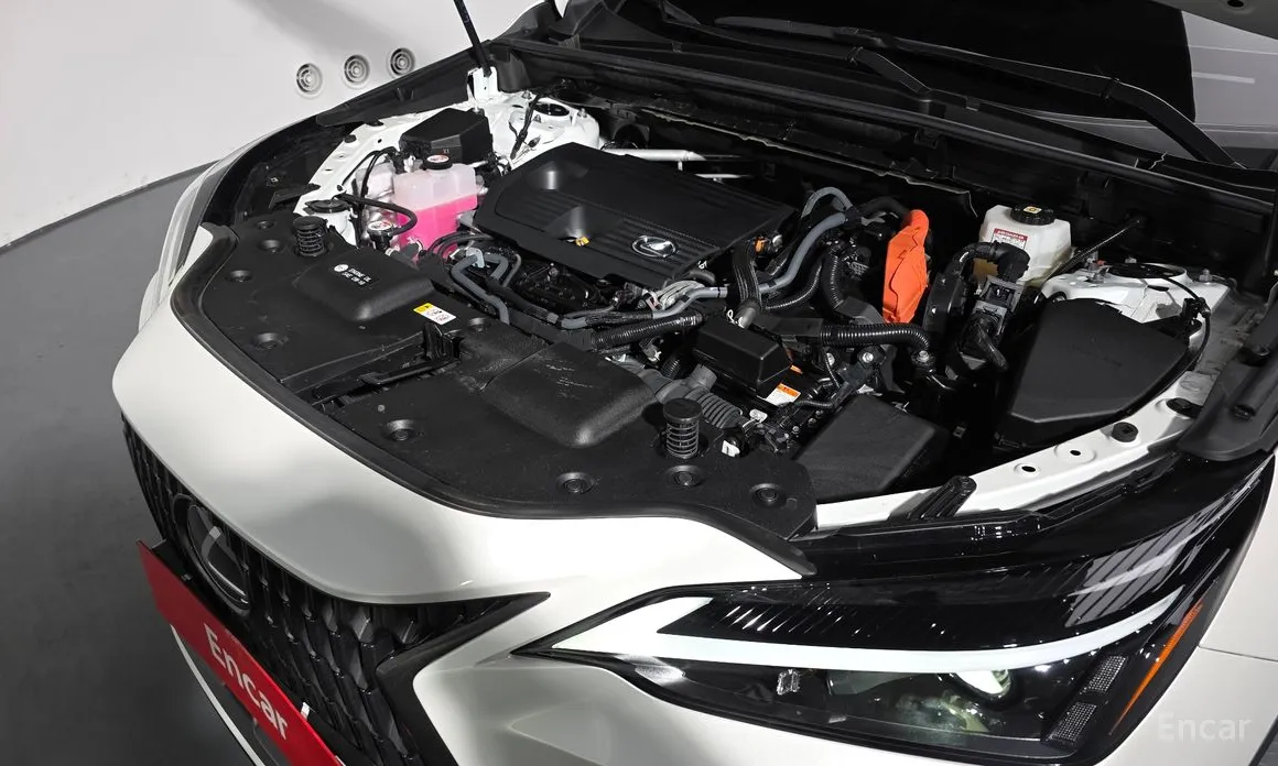 Lexus NX 2022 Premium