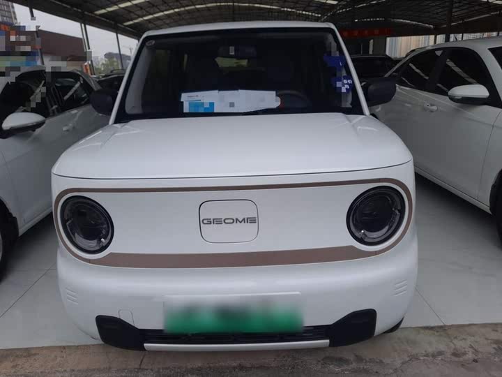 Фото 3 - Geely Galaxy Panda Mini