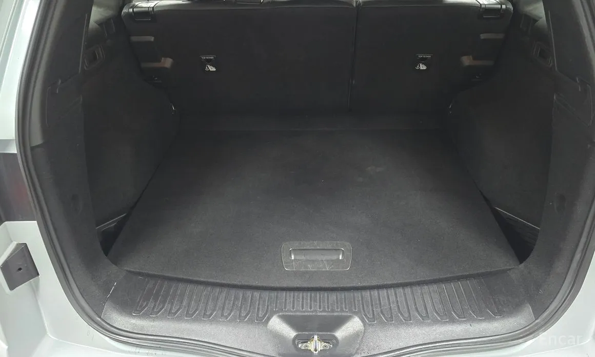 Фото 20 - Renault QM6