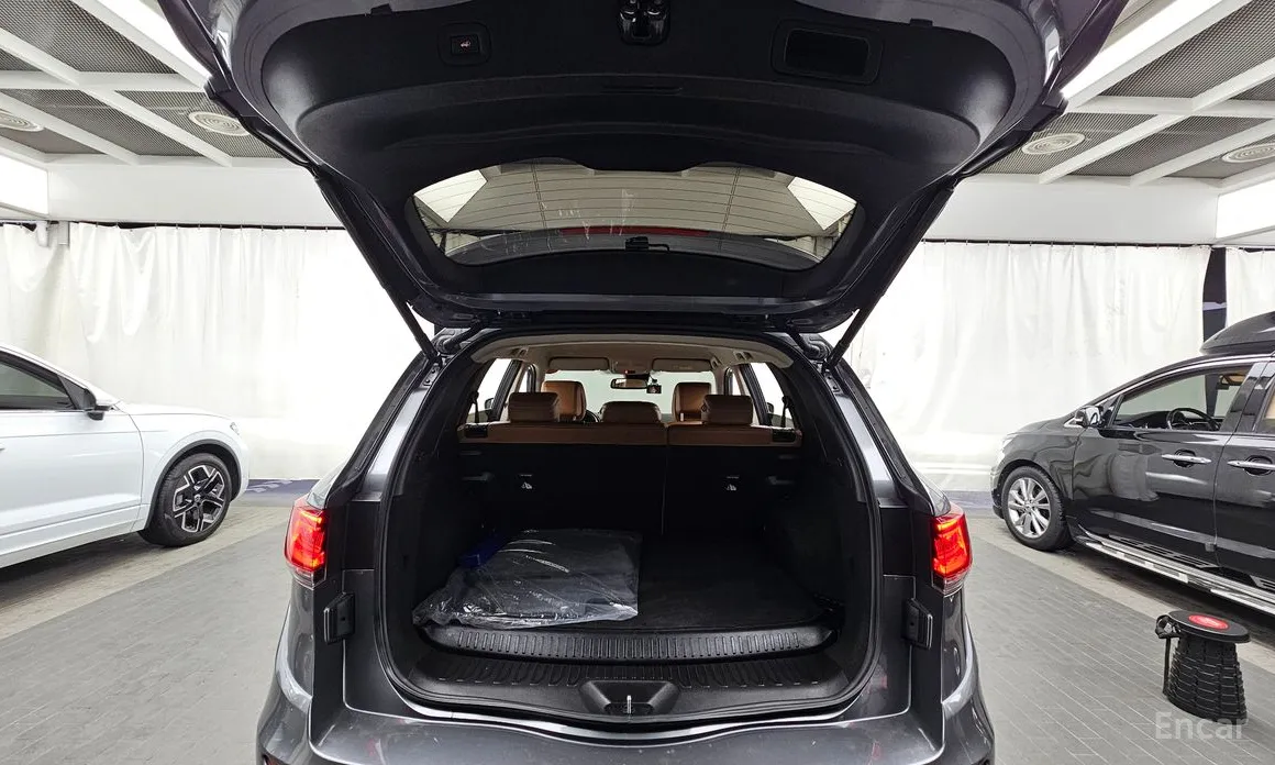 Фото 20 - Renault QM6