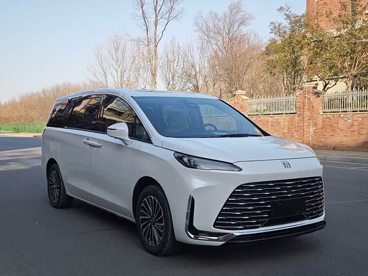 Фото 3 - Buick GL8 Hybrid