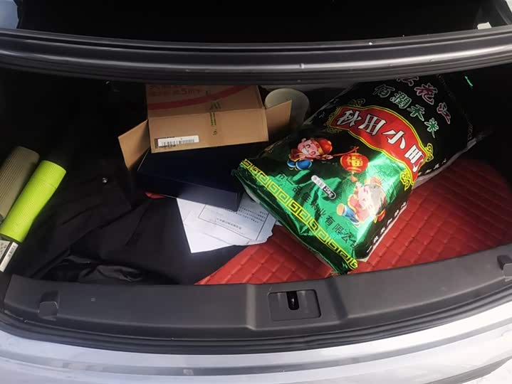 Фото 4 - Hongqi E-QM5