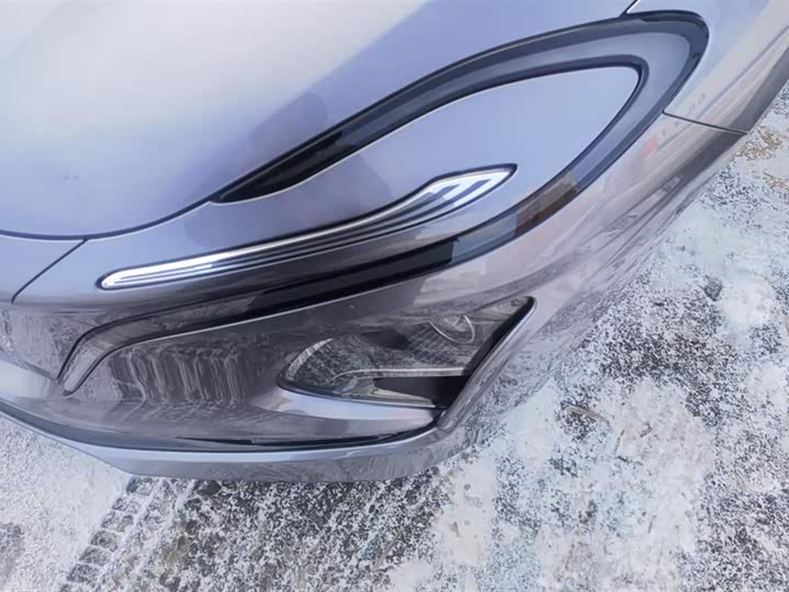 Фото 5 - Hongqi E-QM5