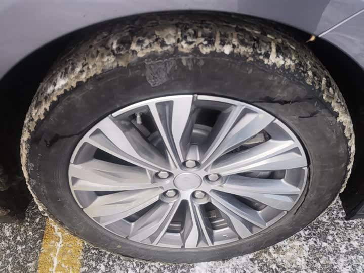 Фото 6 - Hongqi E-QM5