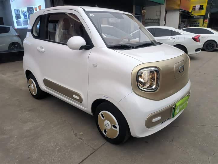 Фото 4 - Bestune Pony