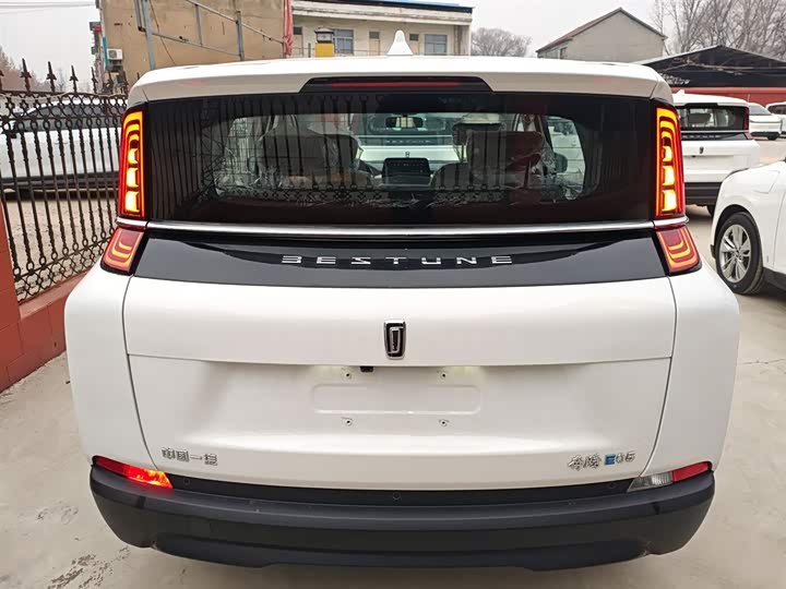 Фото 6 - Bestune NAT