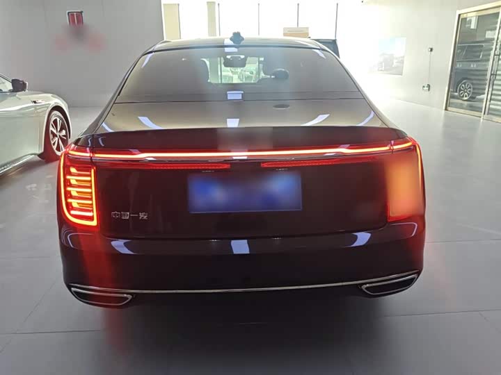 Фото 6 - Hongqi H9