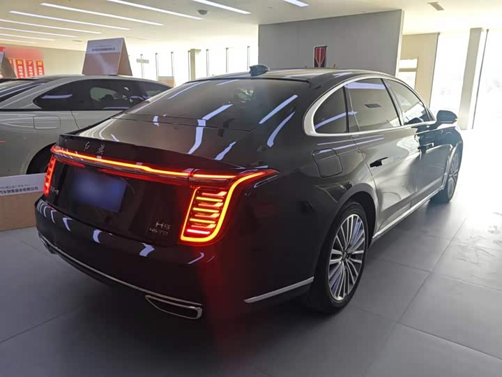 Фото 7 - Hongqi H9