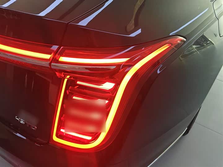 Фото 8 - Hongqi H9