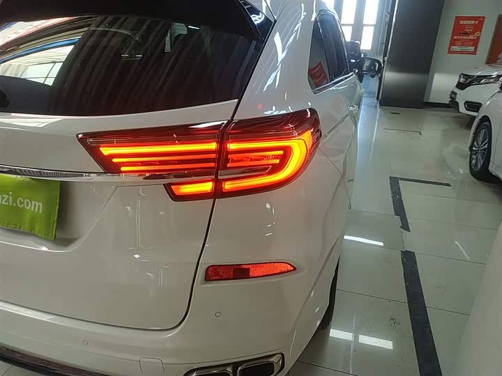 Фото 8 - Honda Avancier