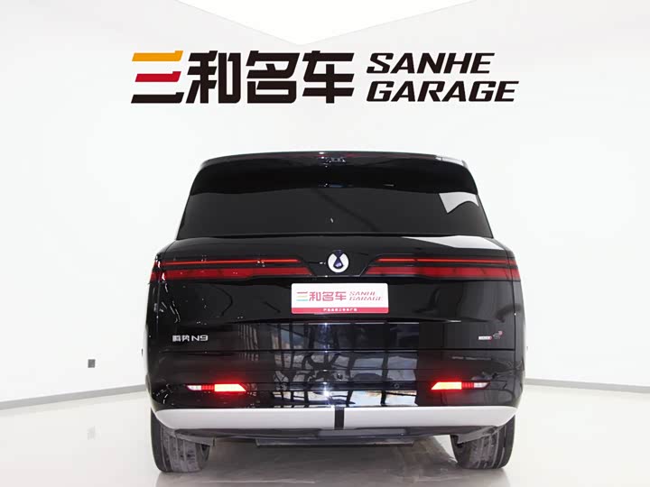 Фото 6 - Denza N9