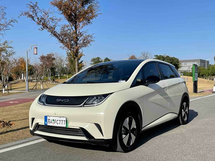 Фото 1 - BYD Dolphin