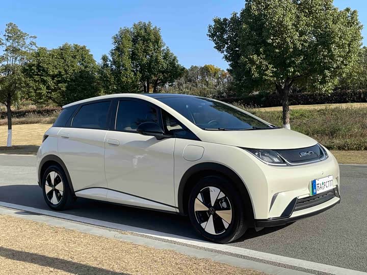 Фото 3 - BYD Dolphin