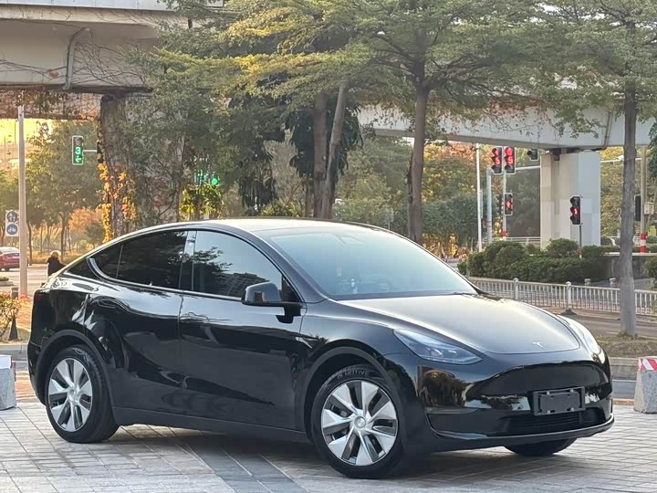 Фото 3 - Tesla Model Y