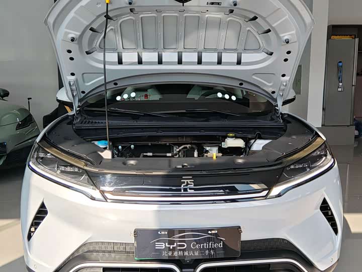 Фото 8 - BYD Yuan Up