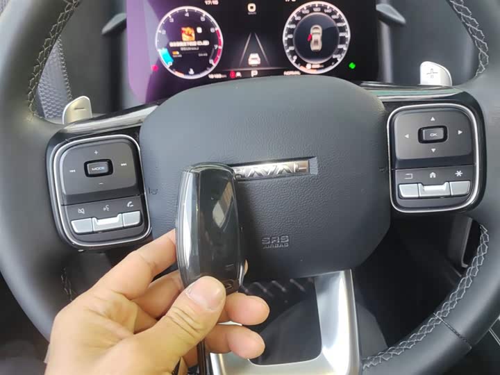 Фото 9 - Haval Dargo