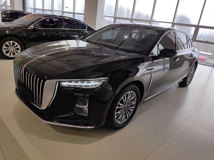 Фото 1 - Hongqi H5