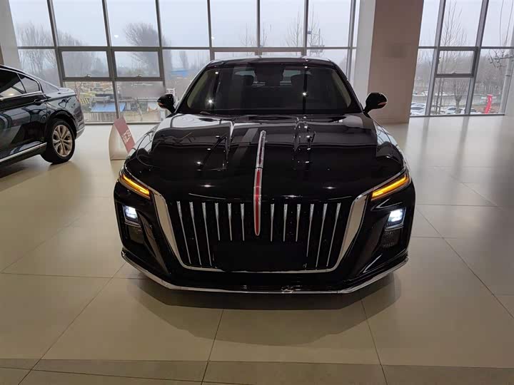 Фото 3 - Hongqi H5