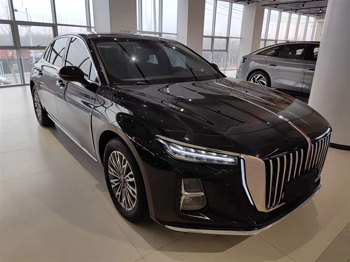 Фото 4 - Hongqi H5
