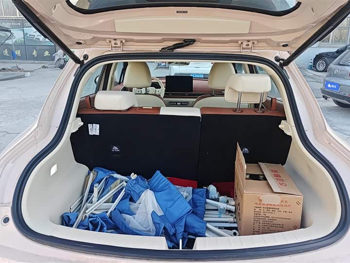 Фото 4 - Ora Good Cat (03)